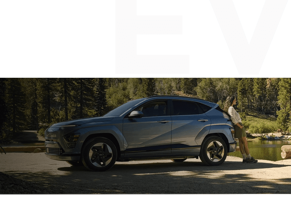 Evg New Niro Intro